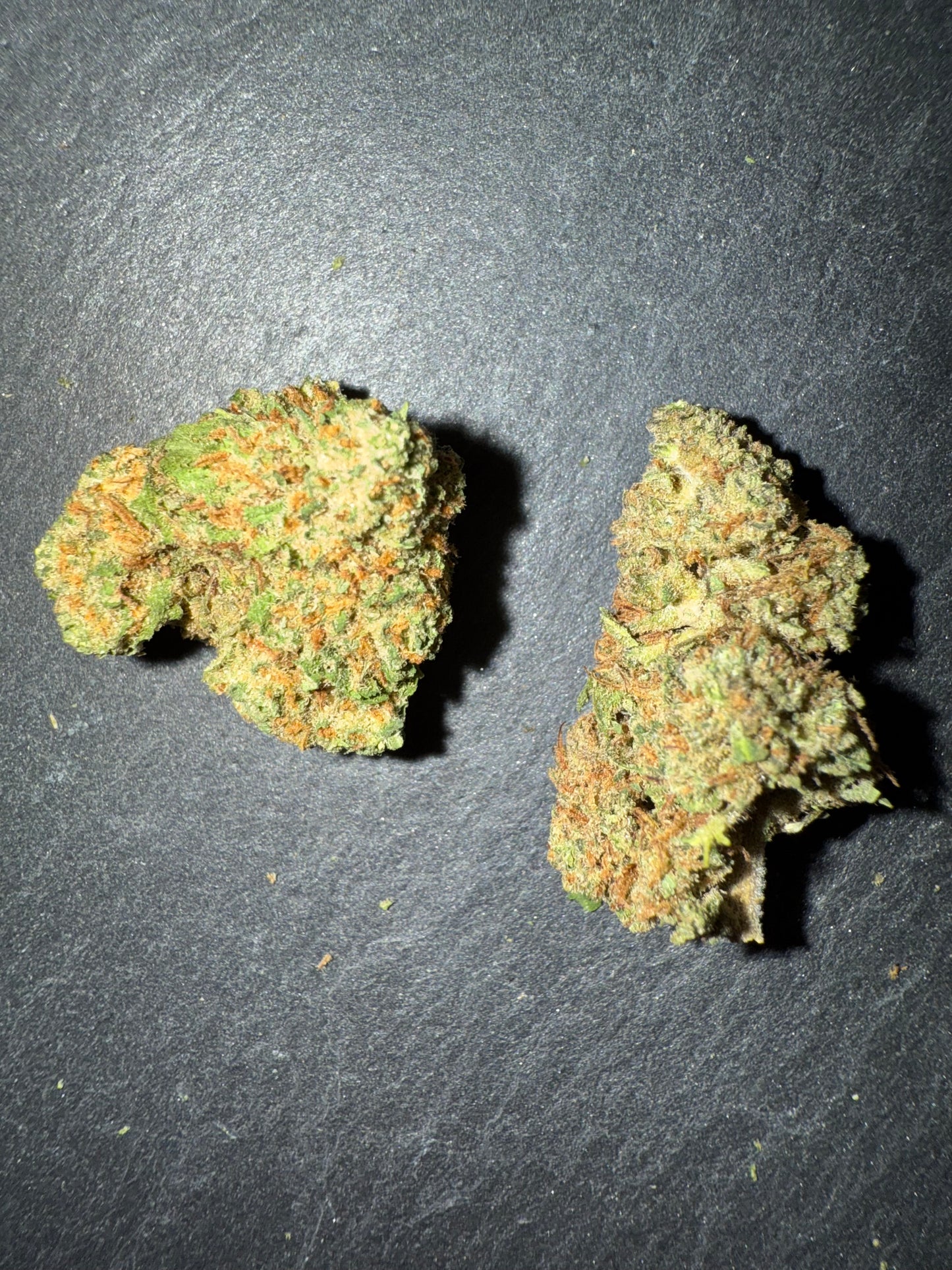 BLUEBERRY - INDOOR