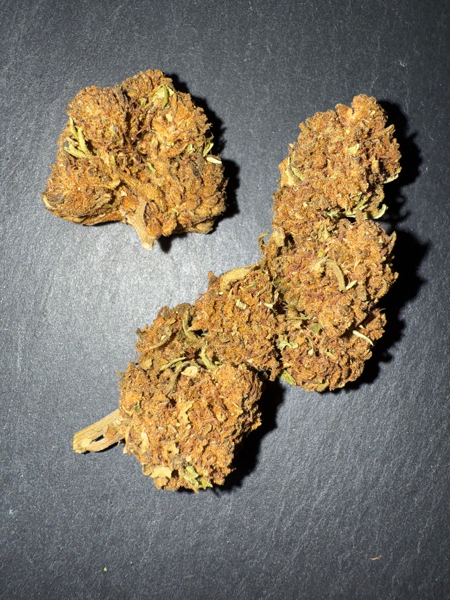 PURPLE - OUTDOOR
