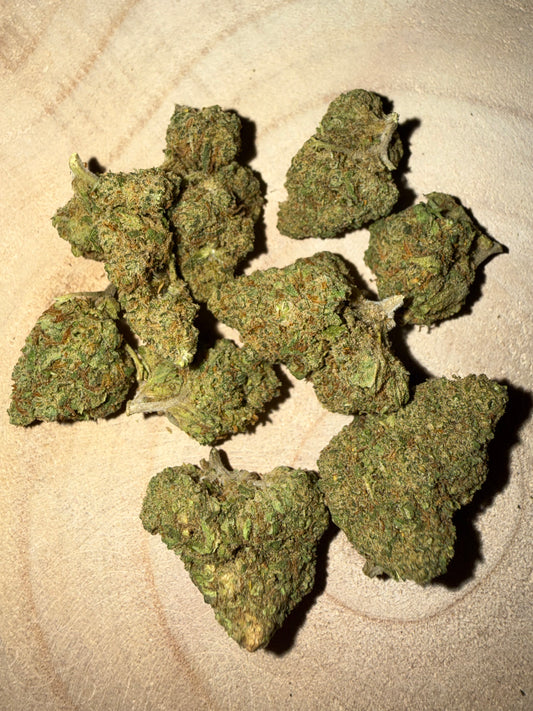 LEMON CHEESE - INDOOR