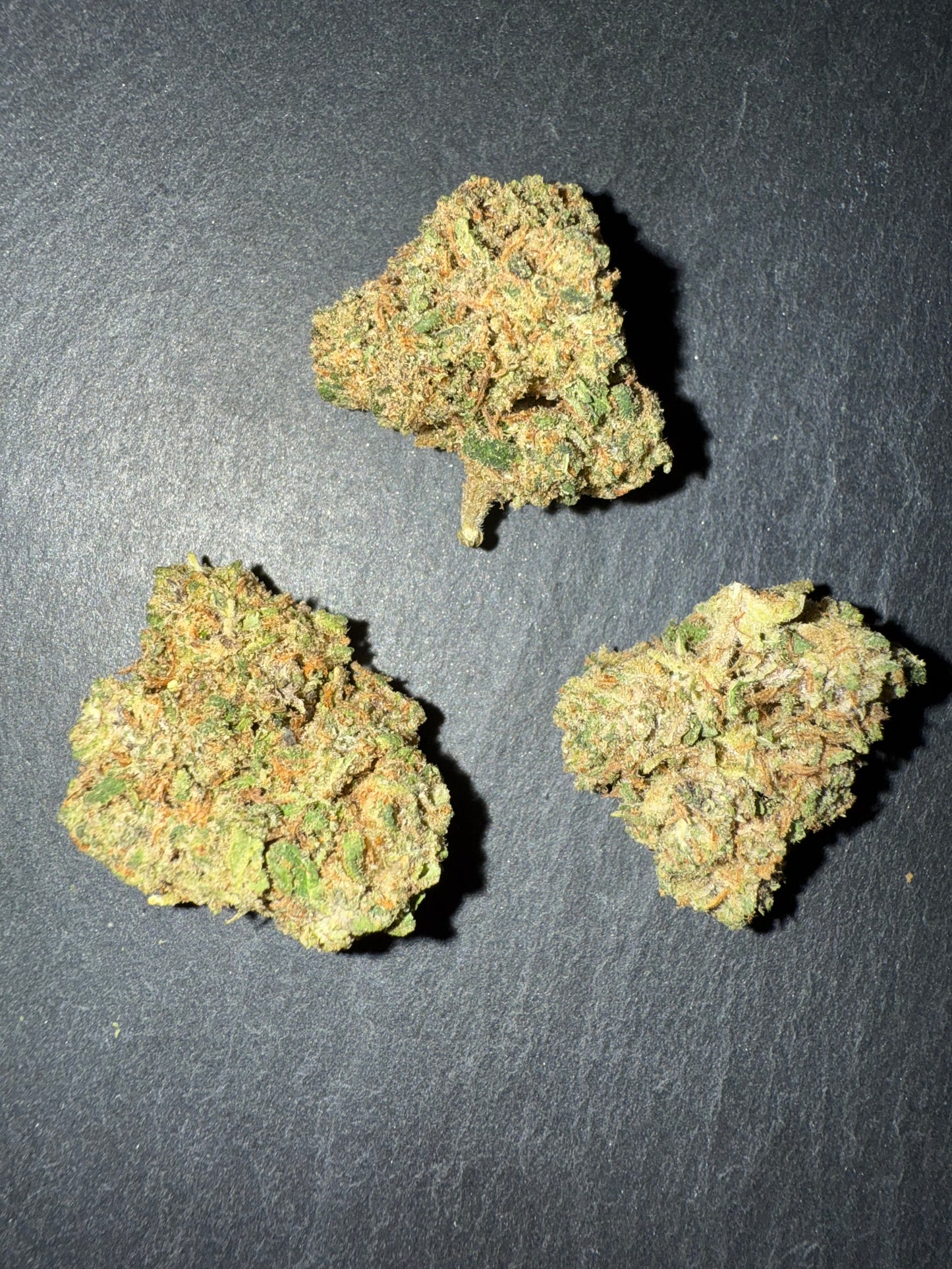 ORANGE SHERBET - INDOOR