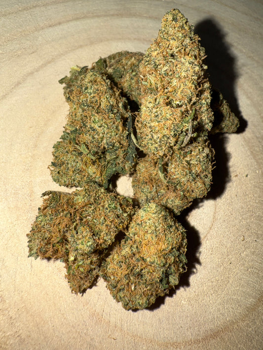 NEW AMSTERDAM - INDOOR BY CANNAÏA