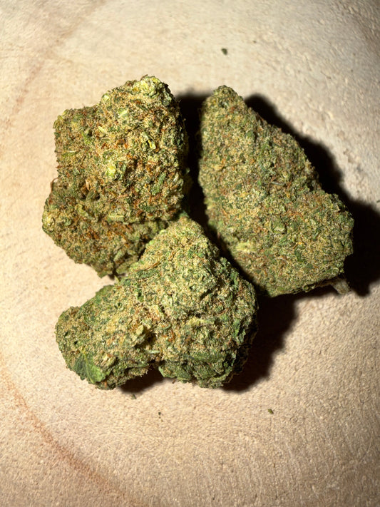 LEMON CHEESE - INDOOR