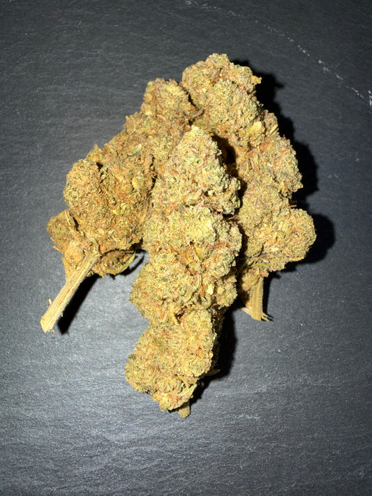 BLUE DREAM - INDOOR