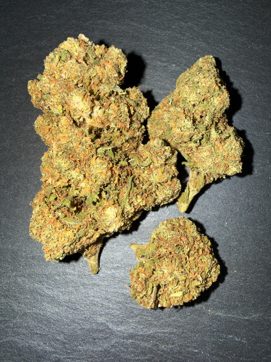CALI GRAPE - INDOOR